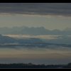 IMG_9208